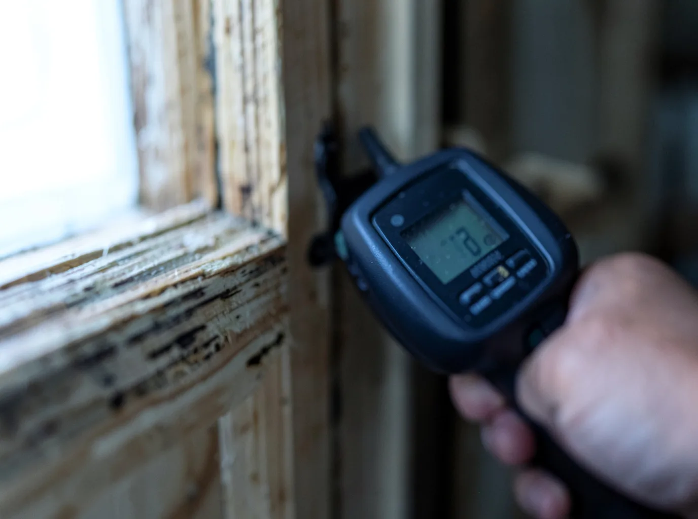 Moisture Inspection And Documentation in Gunnison, UT